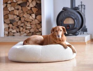 orthopädisches Hundekissen für grosse Hunde mit Bio Dinkelfüllung