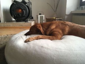 orthopädische Hundekissen ergonomisch aus Naturfüllung Dinkelspreu