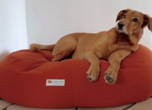 Grosser Hund auf ovales orthopädisches Hundekissen aus ökologischen Naturfasern in Orange
