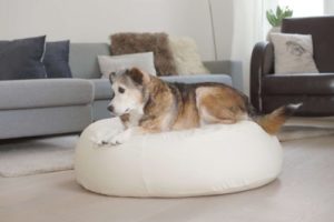 Hochwertiges orthopädisches Hundekissen Hundebett oval XL mit formbarer natürlicher Dinkelfüllung