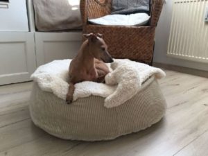 natürliches Hundekissen orthopaedisch oval mit Dinkelfüllung in cremeweiss