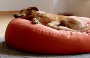 Rundes orthopädisches Hundekissen für grosse Hunde aus Bio Baumwolle und Dinkelfüllung in terracotta